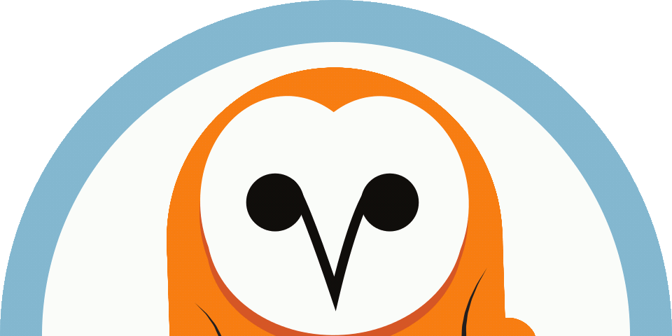 barnowl without glasses